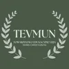 Towarzystwo Edukacyjne Vizja Model United Nations